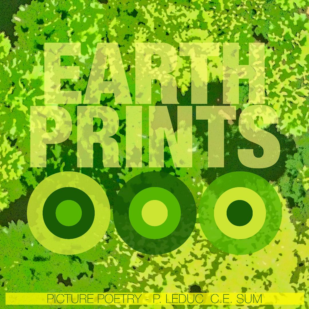 Earth Prints Color Wheels poster
